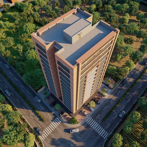 11 BIRD VIEW